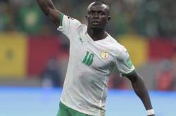 雷速体育官网首页-塞内加尔球队在比赛中大显身手