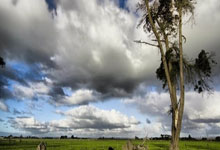 雷速体育官方-中国队横扫印度队，李梓嘉统治全场