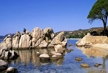 雷速体育比分直播-波兰惊艳逆转日本,博格巴两大高光时刻引爆赛场热潮